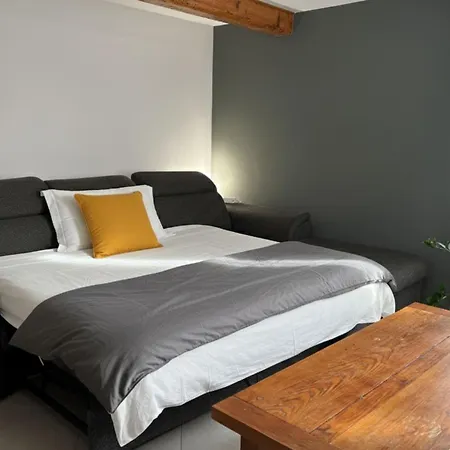 Spacious 67sqm Near Strasbourg * Bischheim